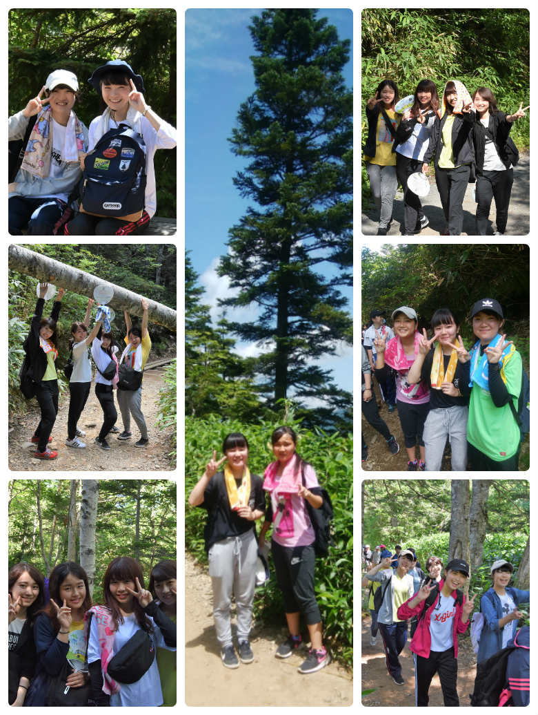 志賀高原の大自然と一つになってハイキング！