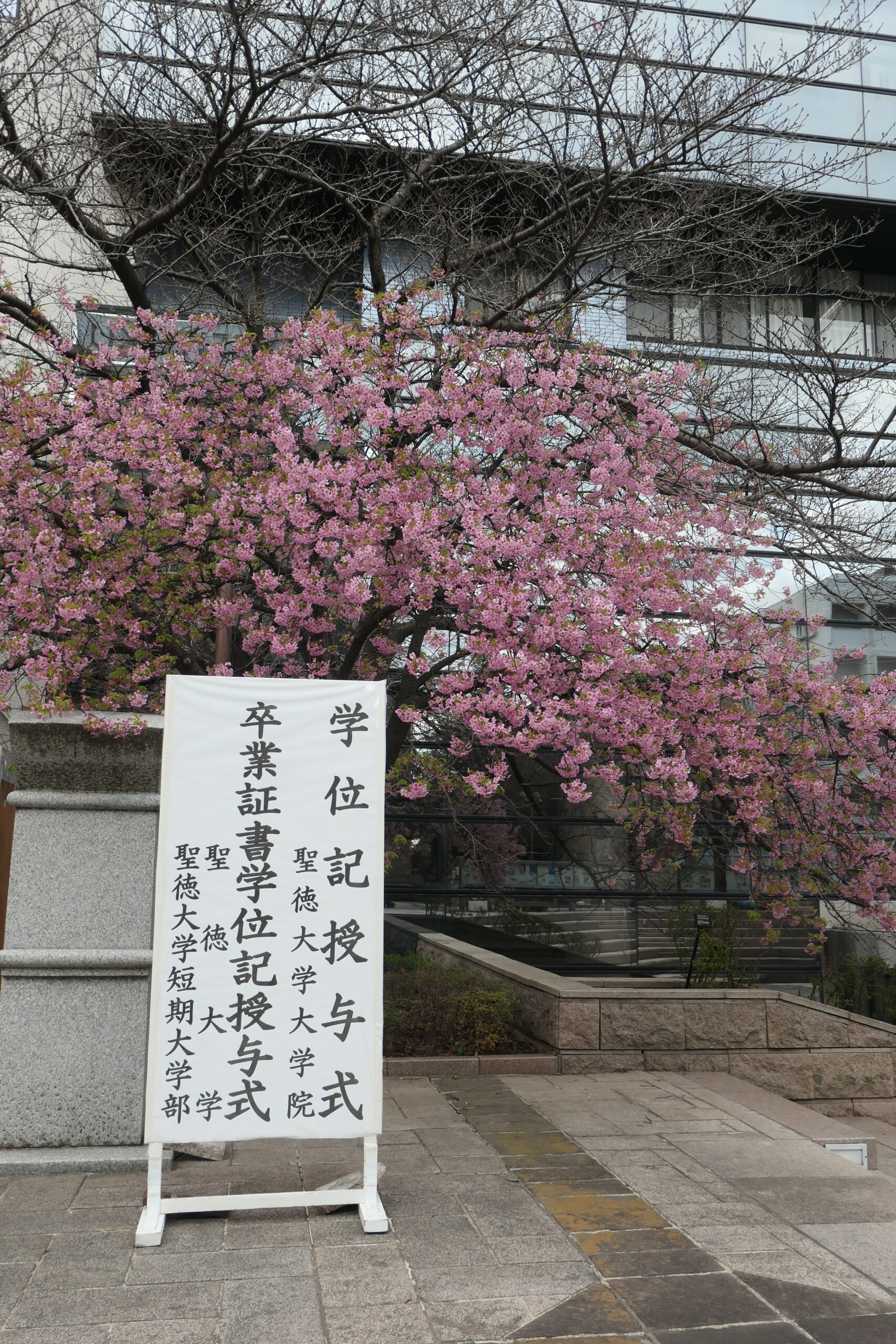 保育科の卒業式が挙行されました！