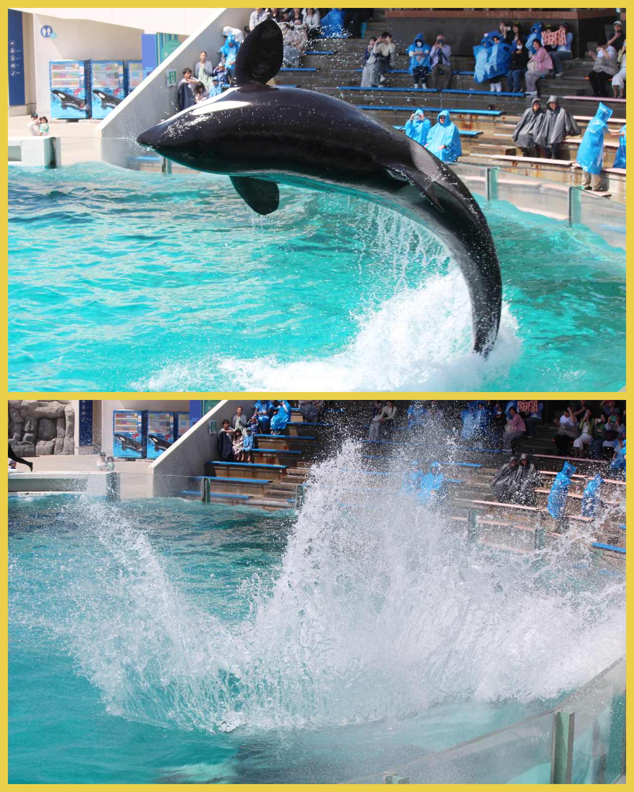 Freshmen Camp 2026 in KAMOGAWA Vol.2