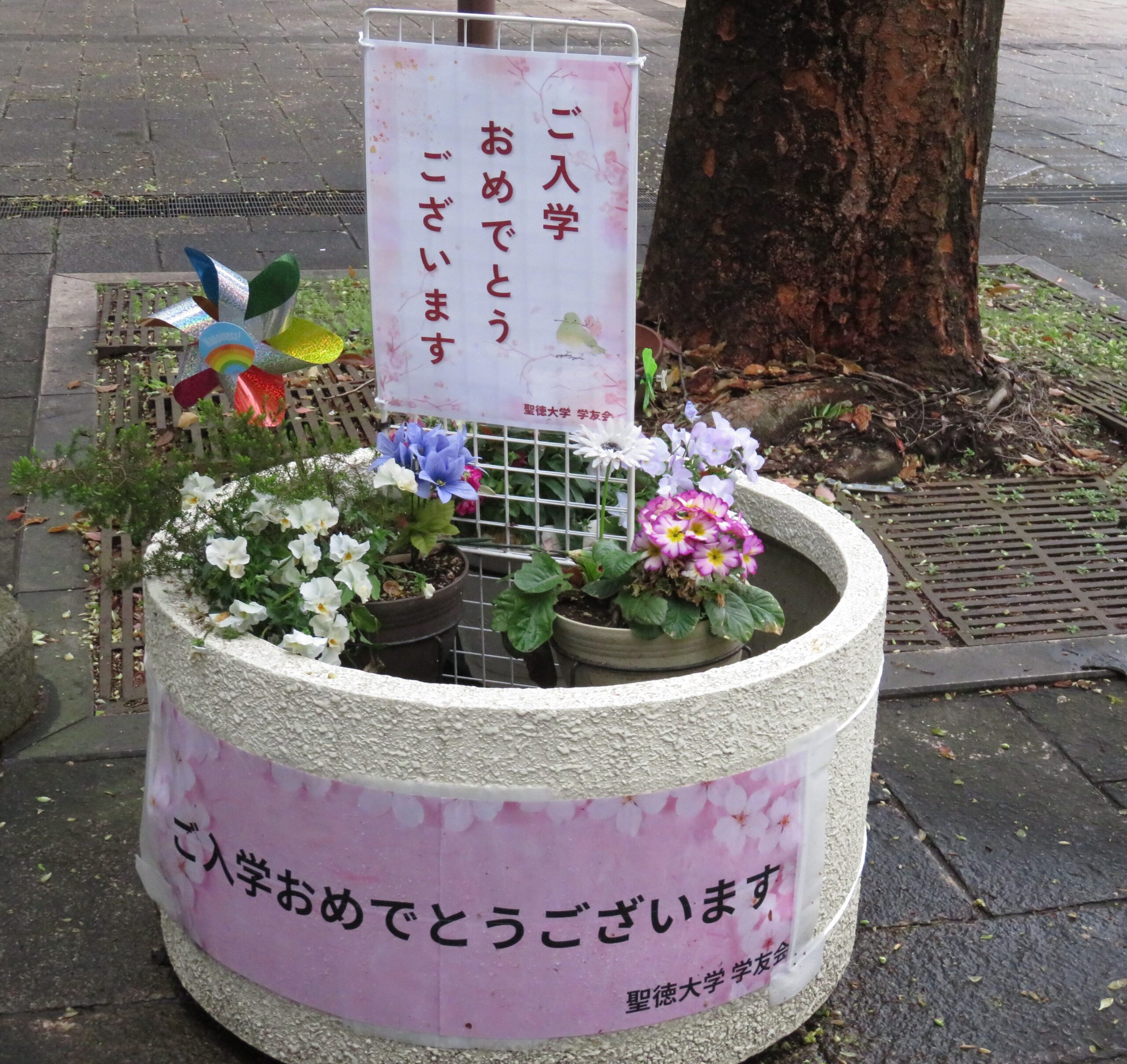 夢ふくらむ入学式！