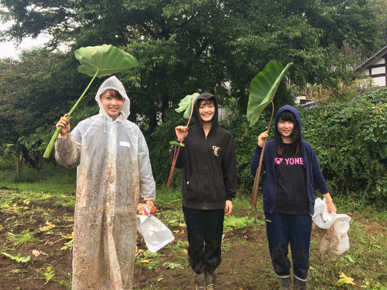 祓川ゼミ　小学生と農業体験④　最終回　大雨の中収穫