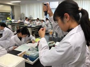 自分のdnaについて調べる実験をしています 人間栄養学部 人間栄養学科 聖徳大学 聖徳大学短期大学部