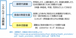 受験生応援 運動のすすめ あなたのエネルギー収支のバランスはどのタイプ 人間栄養学部 人間栄養学科 聖徳大学 聖徳大学短期大学部