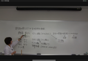 授業 調理学実習 人間栄養学部 人間栄養学科 聖徳大学 聖徳大学短期大学部