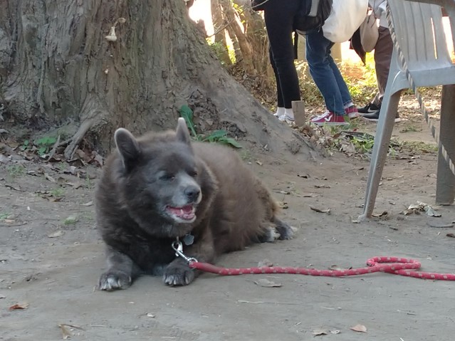 学外研修 チャレンジday 矢切の渡し編 人間栄養学部 人間栄養学科 聖徳大学 聖徳大学短期大学部