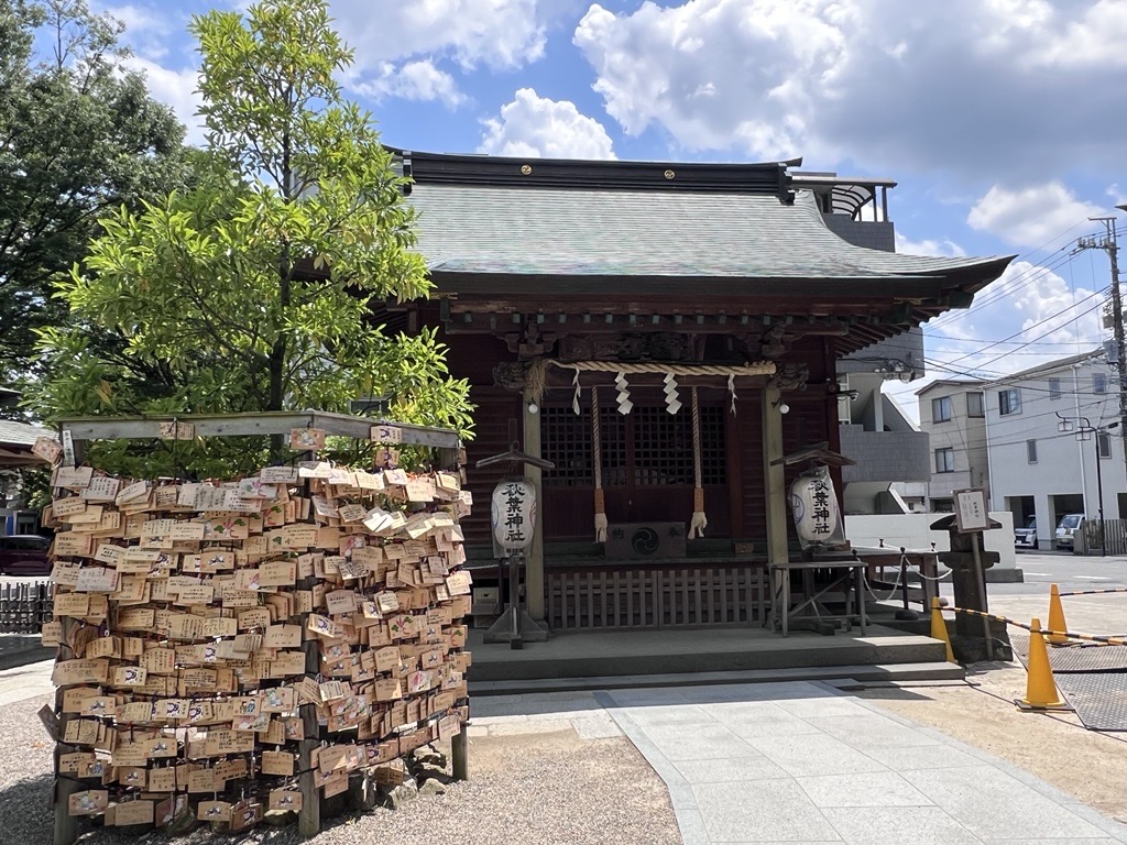 「SEITOKUチャレンジDAY」を実施しました！