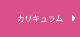 カリキュラム