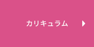 カリキュラム
