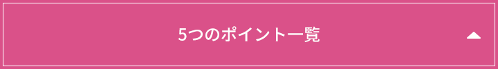 5つのポイント一覧