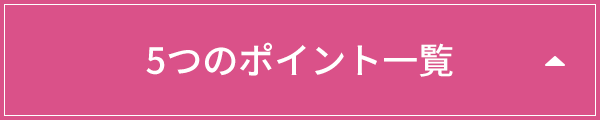 5つのポイント一覧