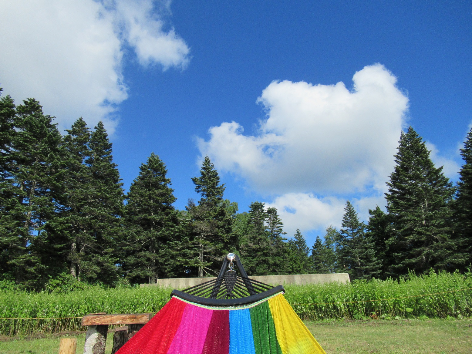 志賀高原⑧　夏山の空を「ひとり占め」　～山の頂上で空をひとり占め～