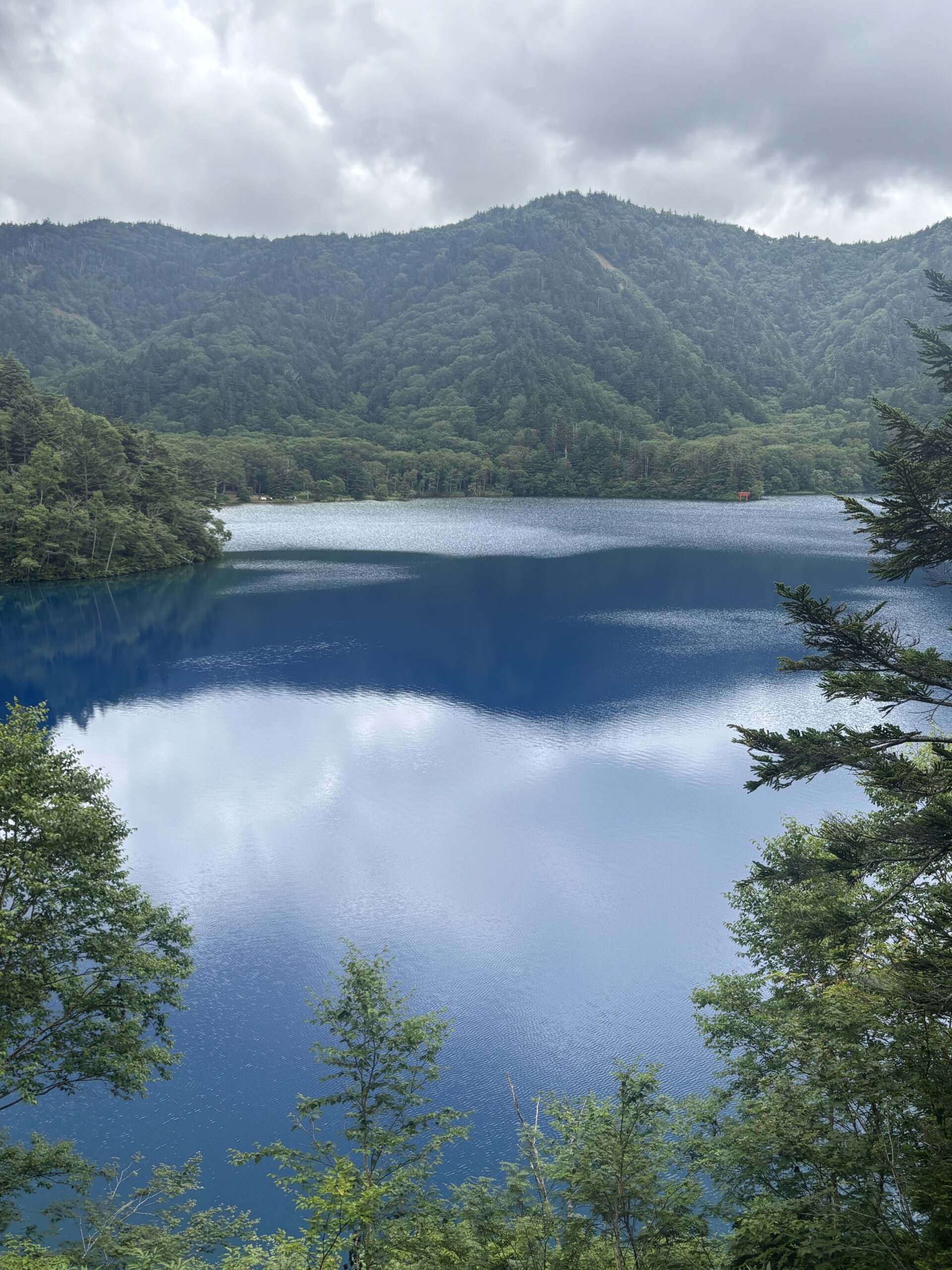 1年生「志賀高原に行きました②」