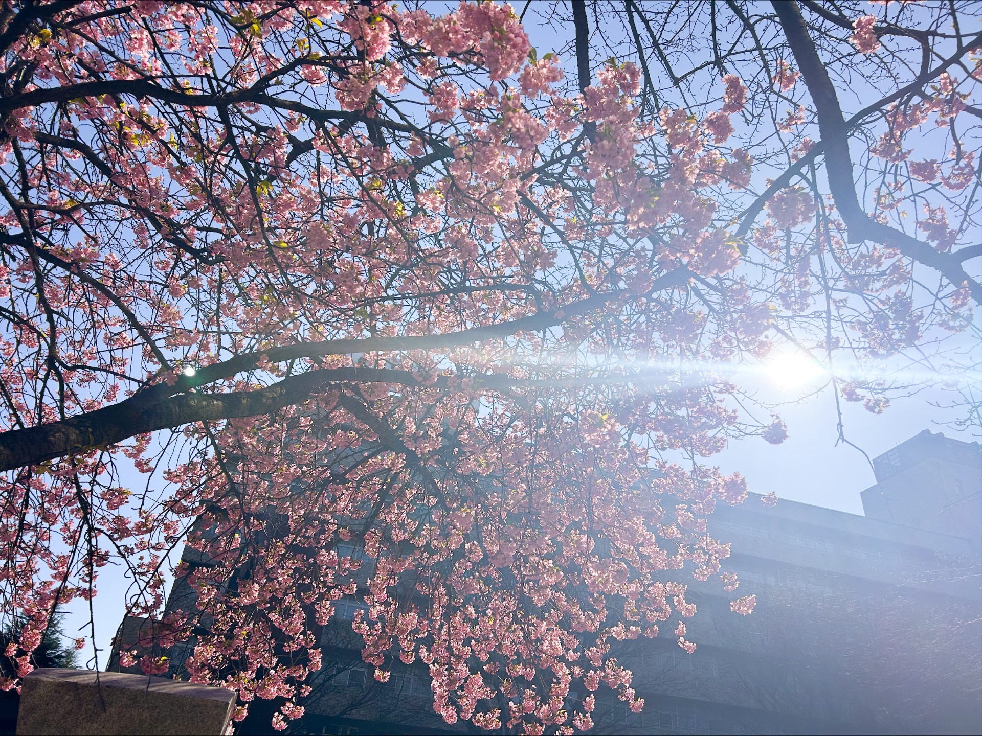 気持ちを落ち着かせるためには・・・。