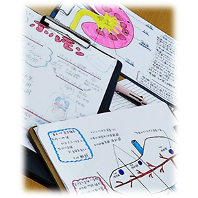 人体の仕組みについて学び合う『　生物入門　　』
