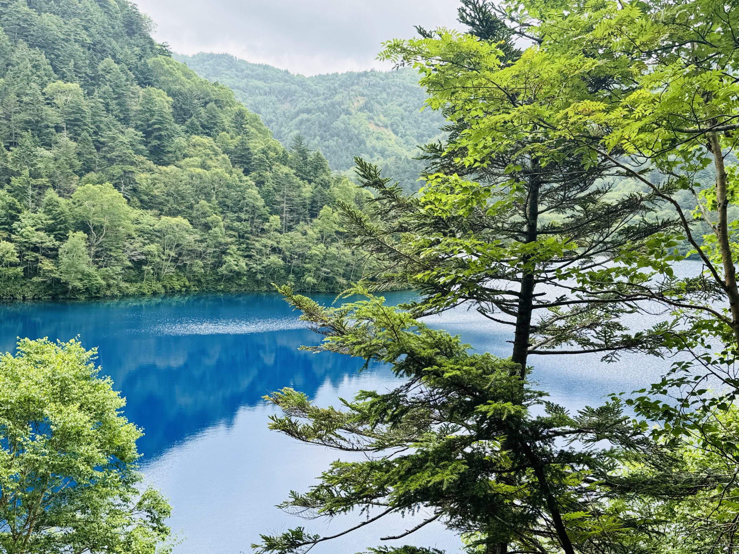 2025年度志賀高原3日目報告