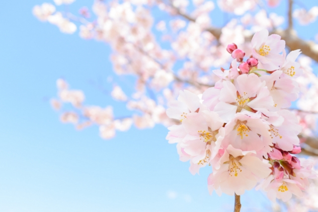 新入生の皆様へ：ご入学おめでとうございます