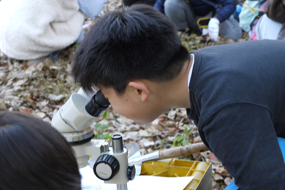 ①せいとくのもりたんけん隊